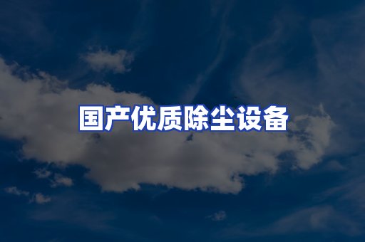 国产优质除尘设备